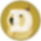 Doge Coin